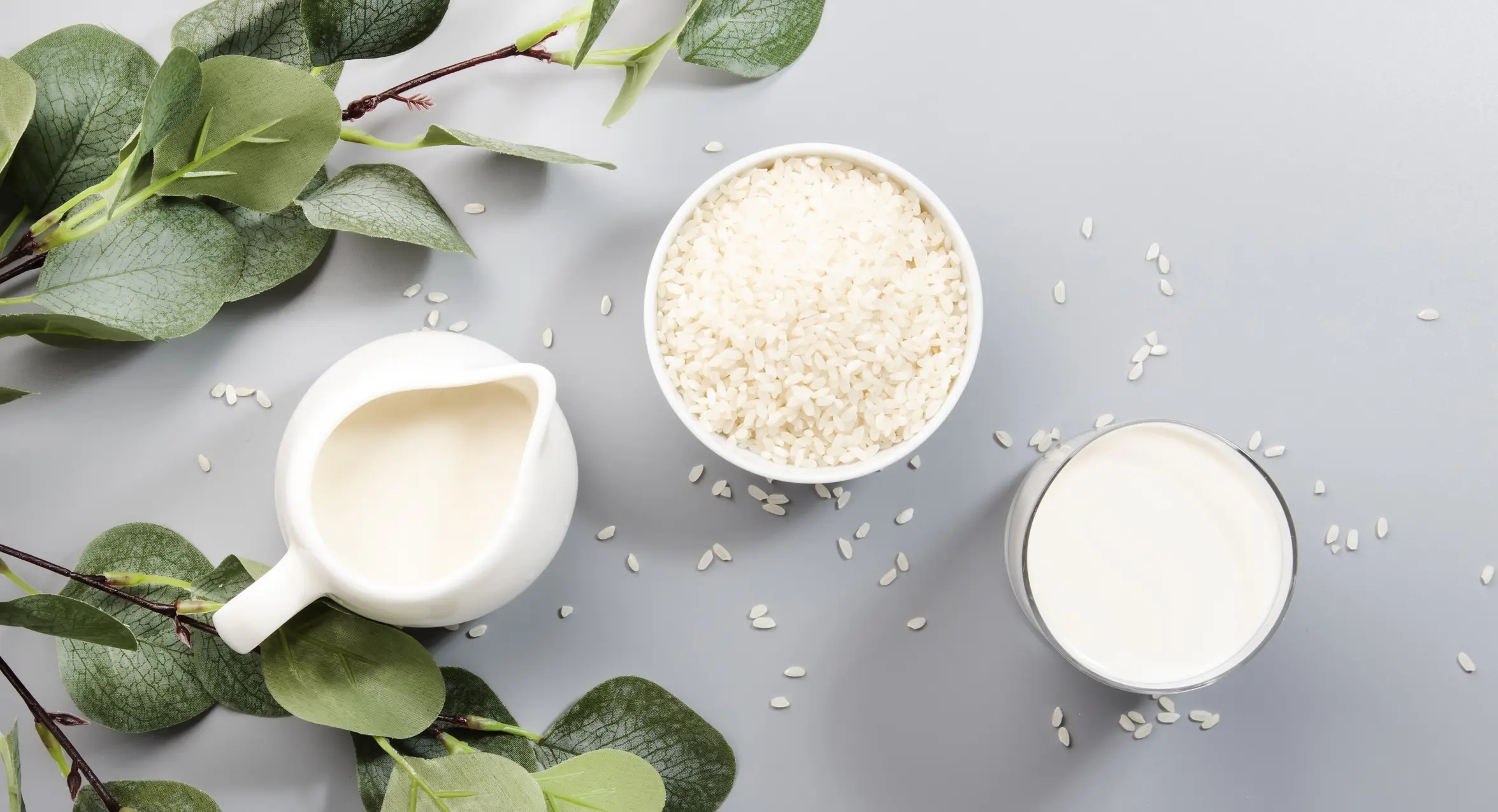 Rice Protein